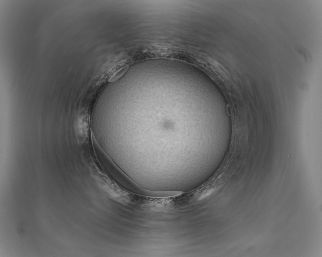 X0000112400576200908141342