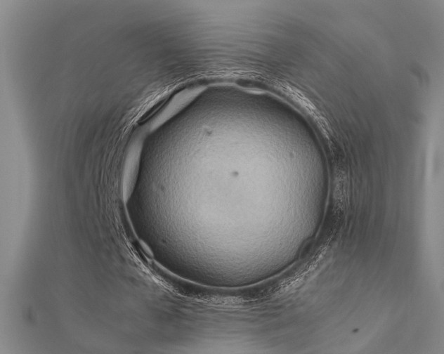 X0000112400577200908141341
