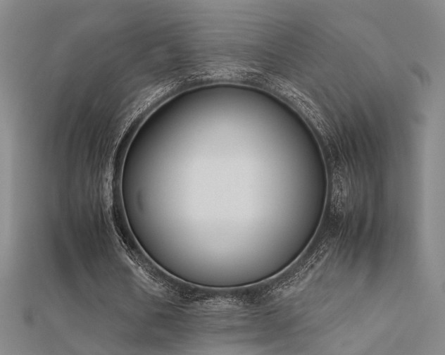 X0000112400578200908141341