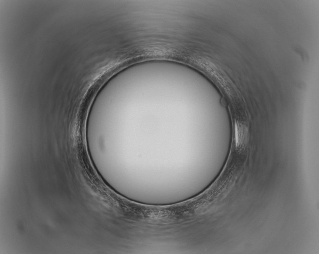 X0000112400579200908141341