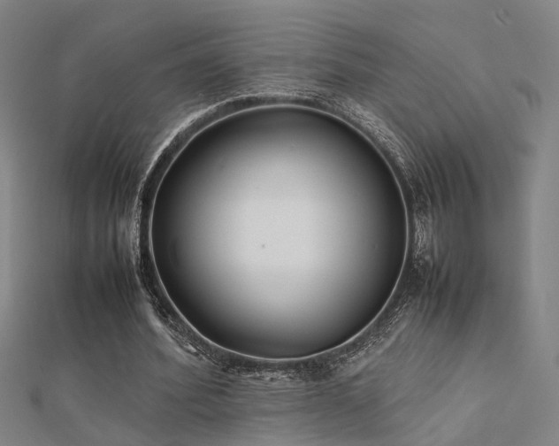 X0000112400580200908141341