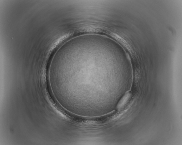 X0000112400581200908141341