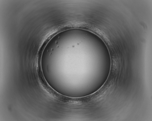 X0000112400582200908141341