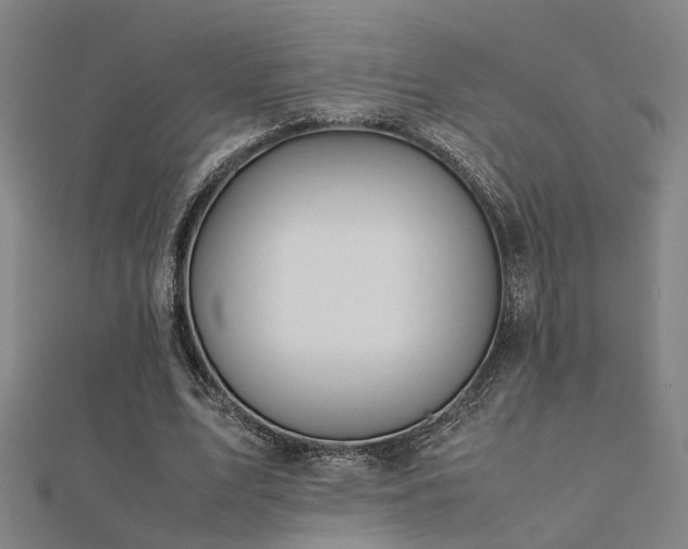 X0000112400583200908141341