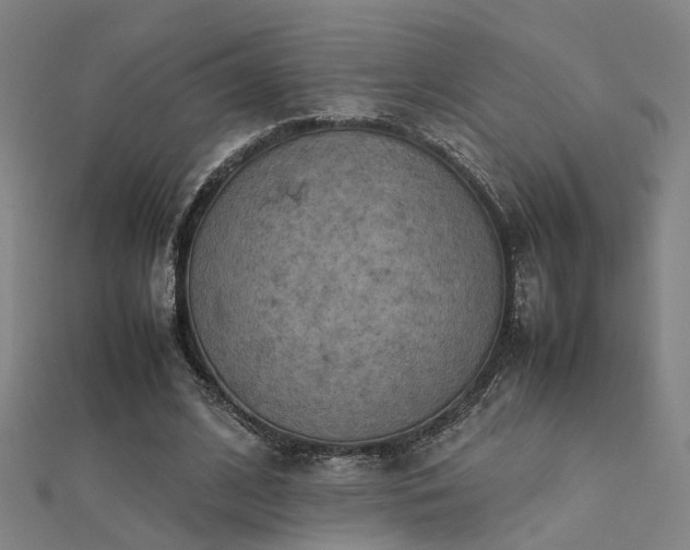 X0000112400584200908141341