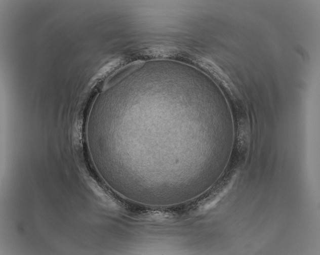 X0000112400585200908141341