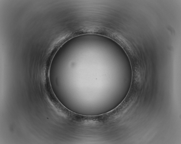 X0000112400586200908141341
