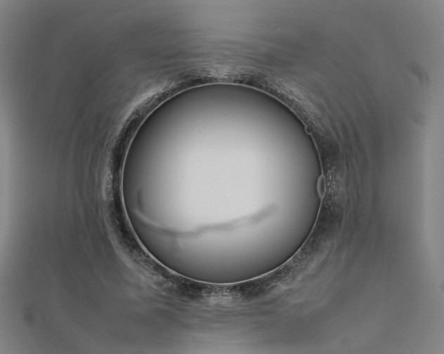 X0000112400587200908141341