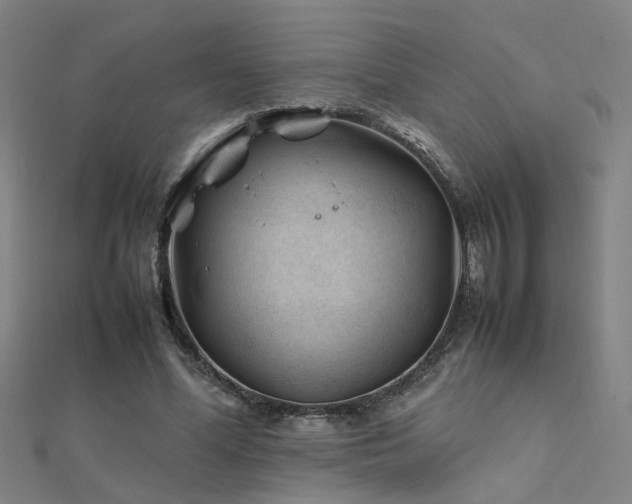 X0000112400588200908141341