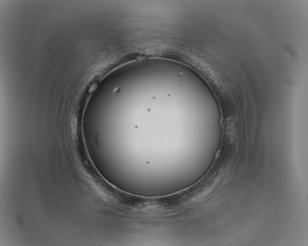 X0000112400589200908141341