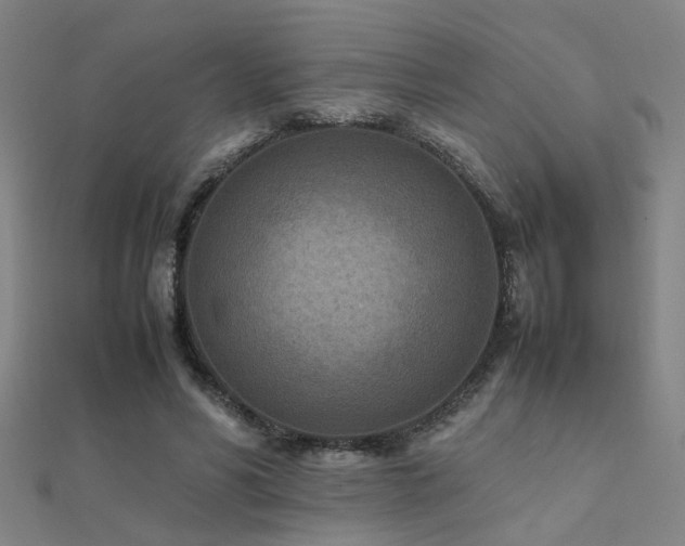X0000112400590200908141341