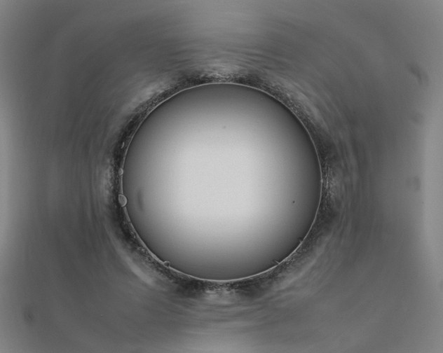 X0000112400591200908141341