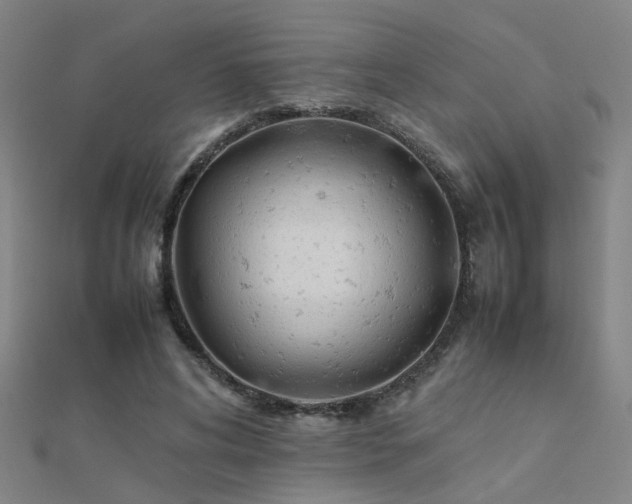 X0000112400592200908141341