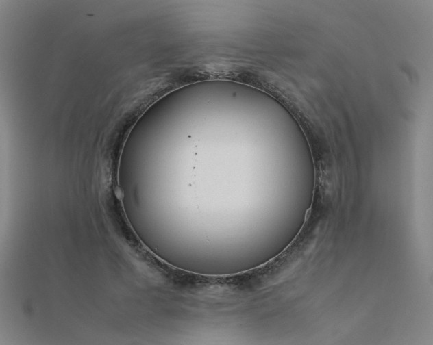 X0000112400593200908141341