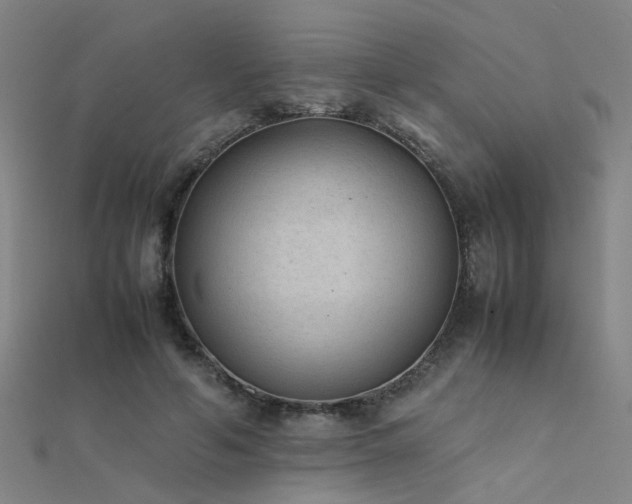 X0000112400594200908141341