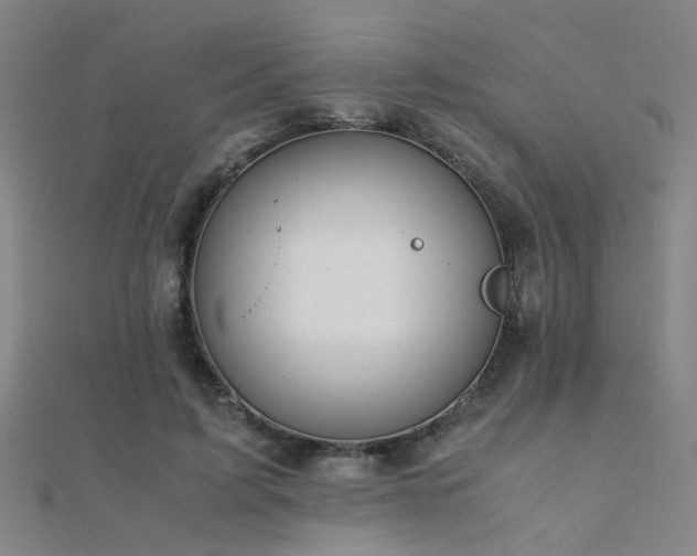 X0000112400595200908141341