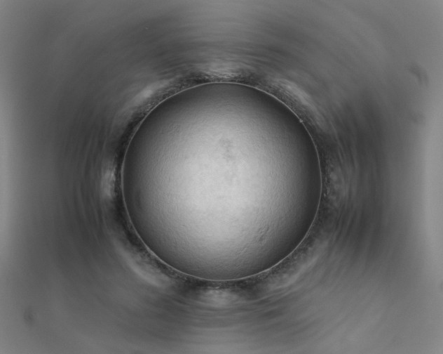 X0000112400596200908141341