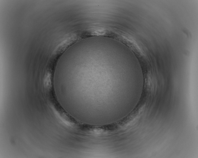 X0000112400598200908141341