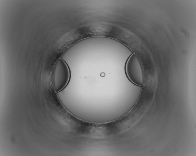 X0000112400599200908141341