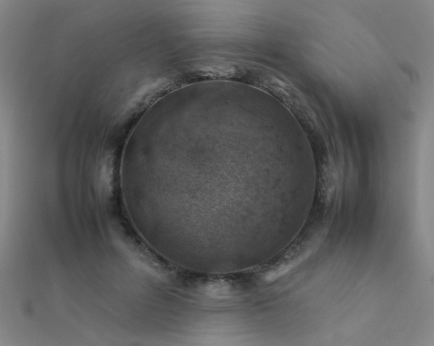 X0000112400600200908141341