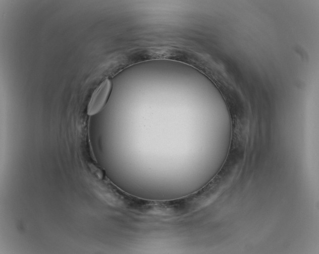 X0000112400601200908141341