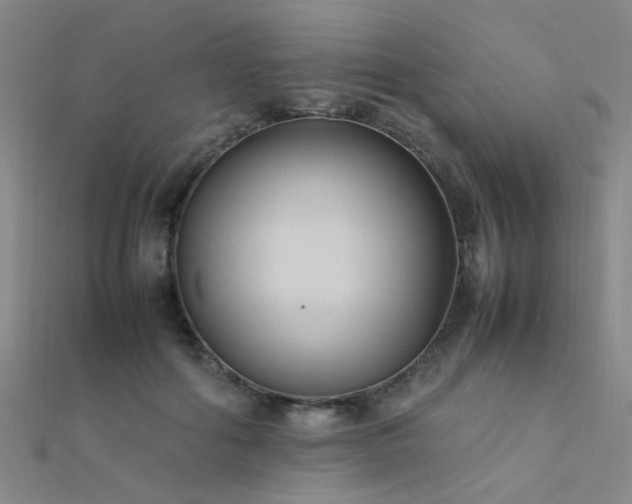 X0000112400602200908141341
