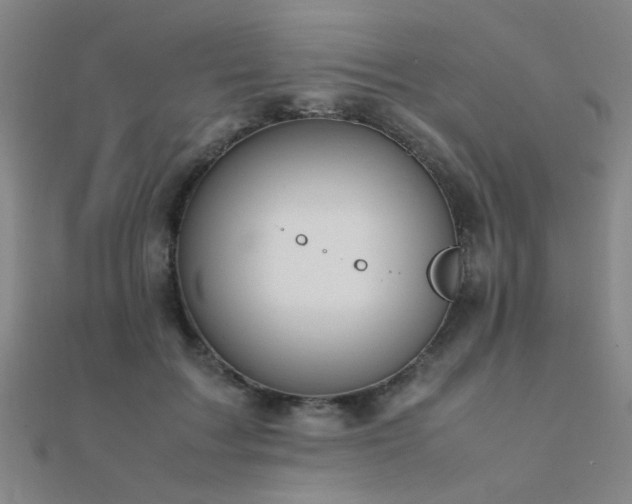 X0000112400603200908141341