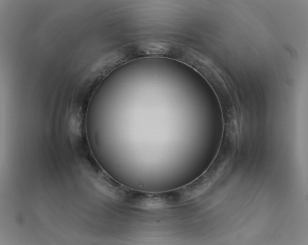 X0000112400604200908141341