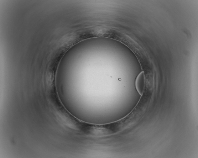 X0000112400605200908141341