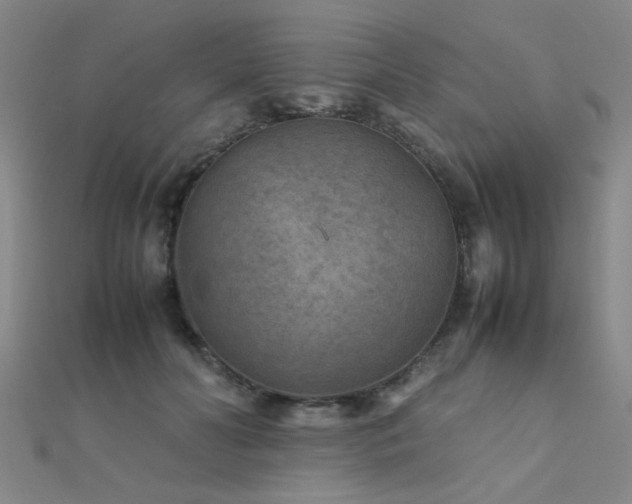 X0000112400606200908141341