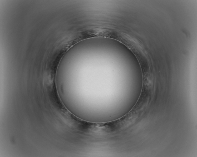 X0000112400607200908141341