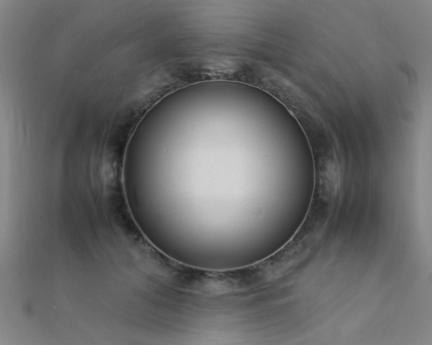 X0000112400608200908141341