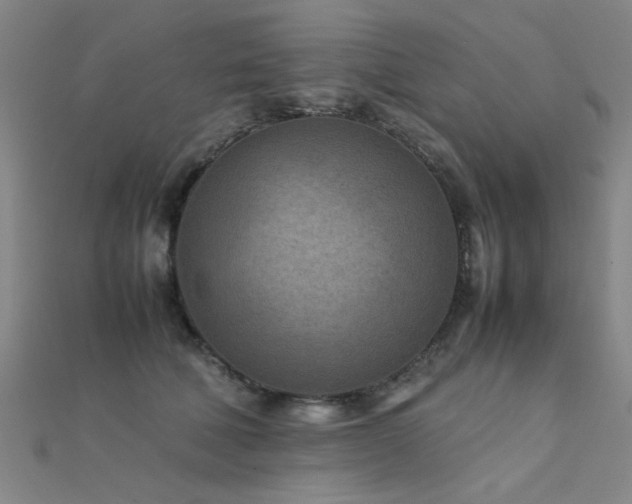 X0000112400610200908141340