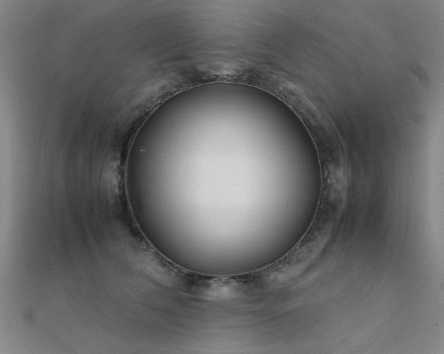 X0000112400612200908141340