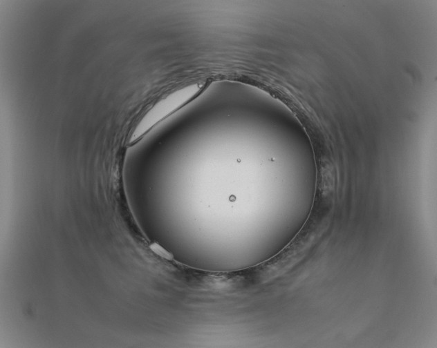 X0000112400613200908141340
