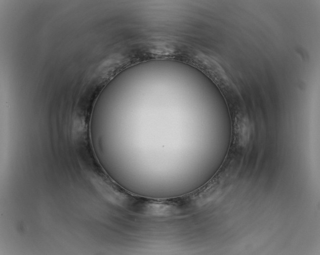 X0000112400614200908141340
