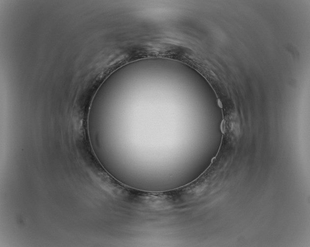 X0000112400615200908141340