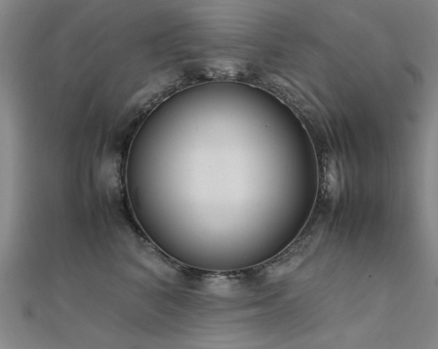 X0000112400616200908141340