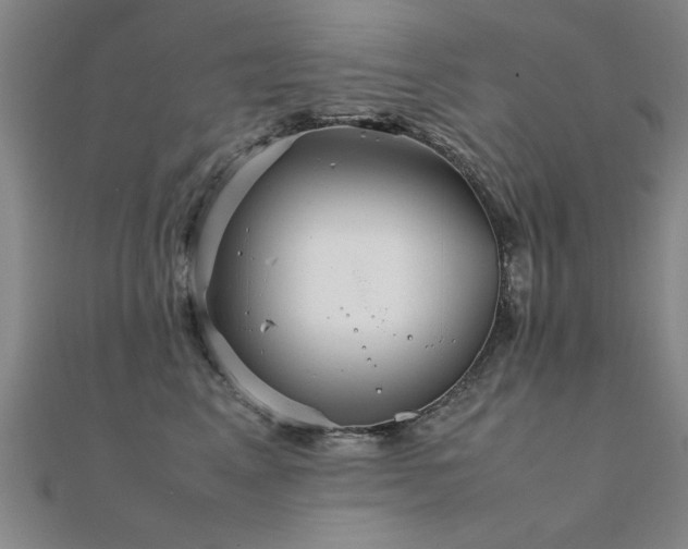 X0000112400617200908141340
