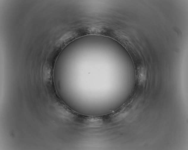X0000112400619200908141340