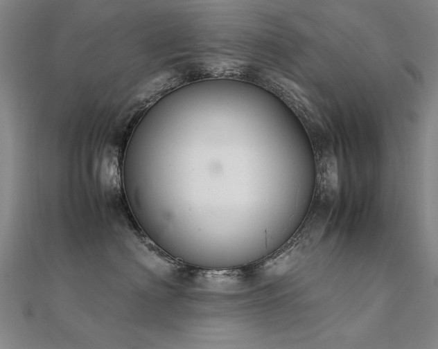 X0000112400622200908141340