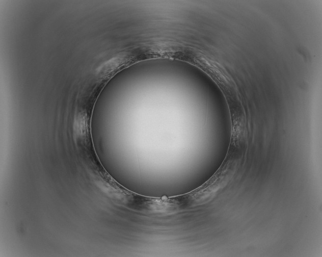 X0000112400623200908141340