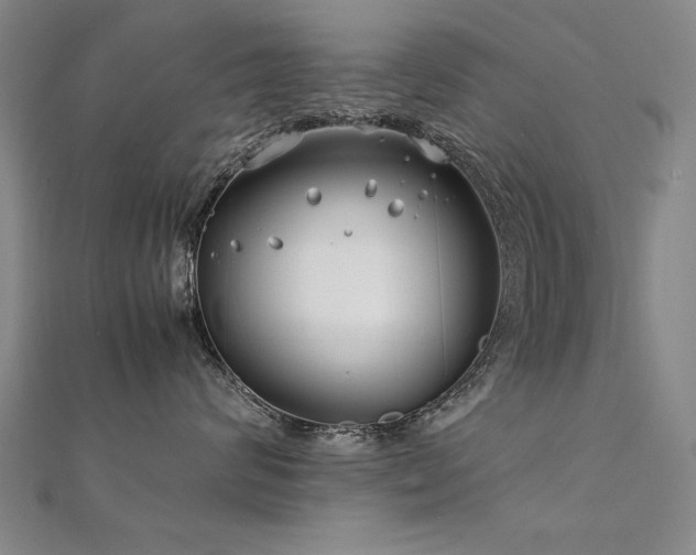 X0000112400624200908141340