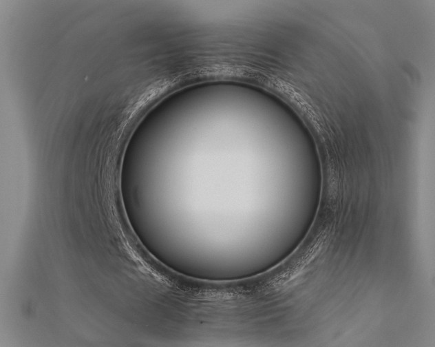 X0000112400625200908141340