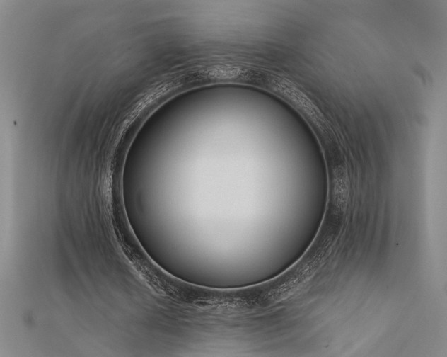 X0000112400626200908141340
