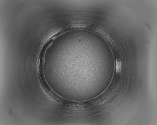 X0000112400627200908141340