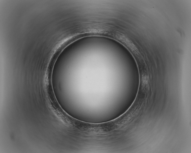 X0000112400628200908141340