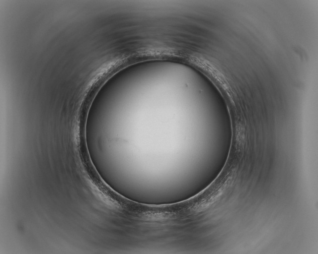 X0000112400629200908141340