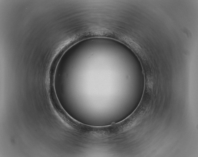 X0000112400630200908141340