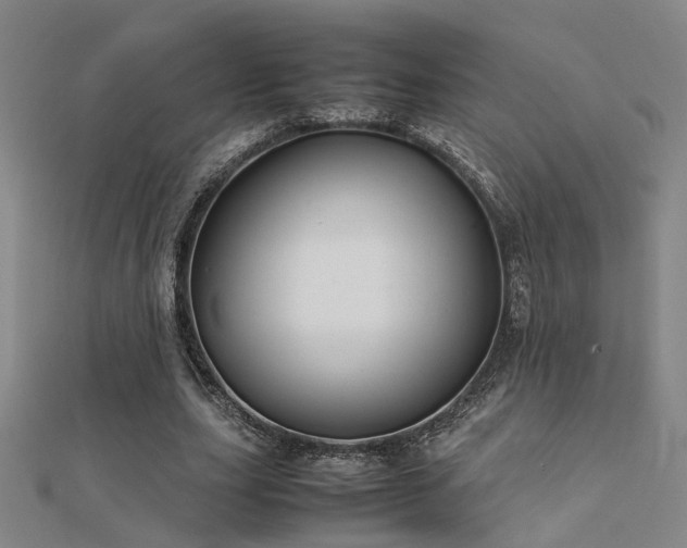 X0000112400631200908141340